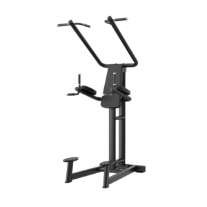 LF4-024 Vertical Knee Raise