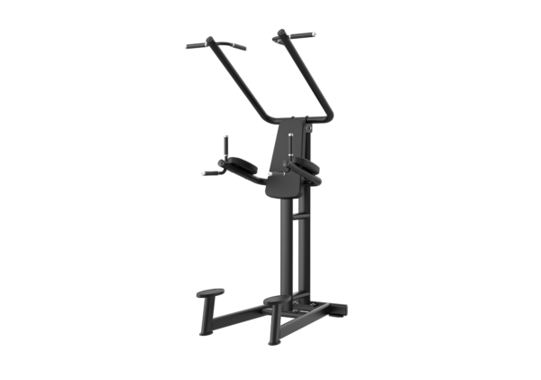 LF4-024 Vertical Knee Raise