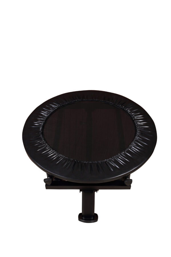 Weightlifting Products - Image 125